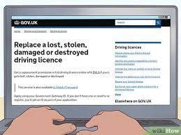 Stolen Driving License